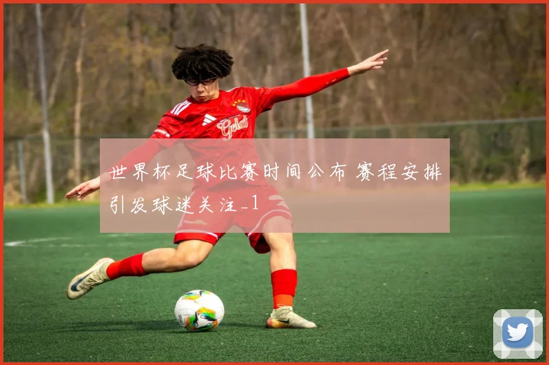 世界杯足球比赛时间公布 赛程安排引发球迷关注_1